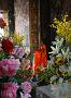 0056 Wat Surhat